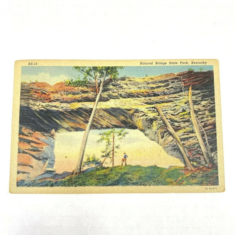 Vintage Postcard Natural‎ Bridge State Park Kentucky Nature Panorama Travel USA